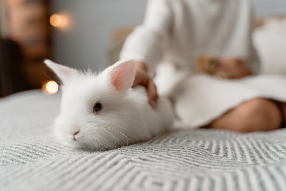 best cruelty free eye cream