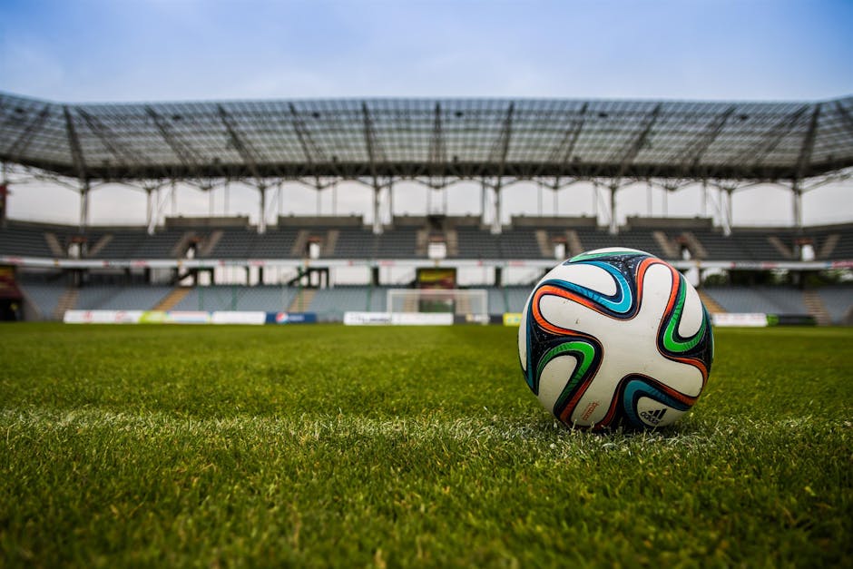 best free ai for sports betting