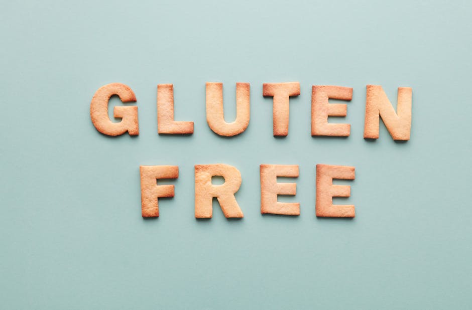 best wheat free dog food for seniors