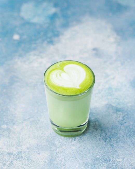 Best Dairy Free Ninja Creami Recipes