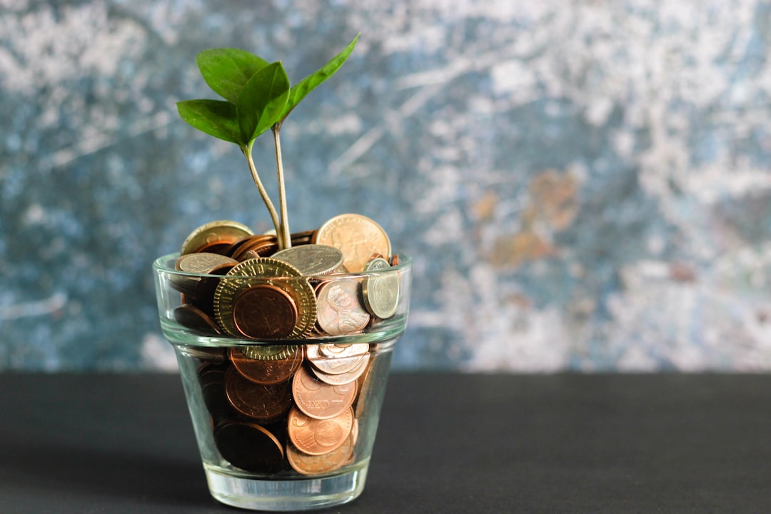 Best Free Alternative to Mint
