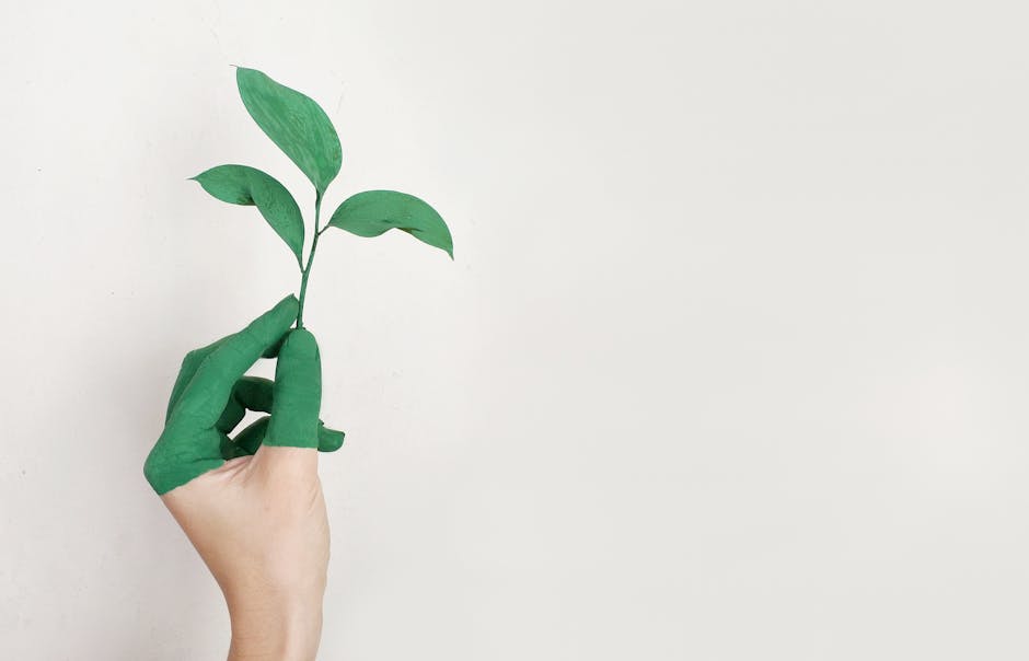 Best Plastic Free Shampoo