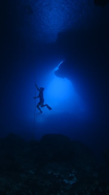 Best Free Diving Mask